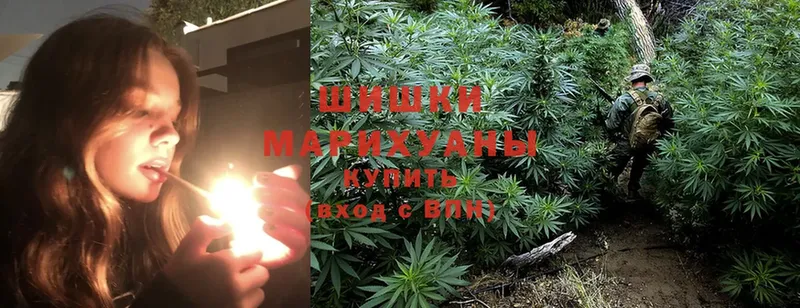 нарко площадка официальный сайт  Борисоглебск  Бошки марихуана OG Kush  наркошоп 